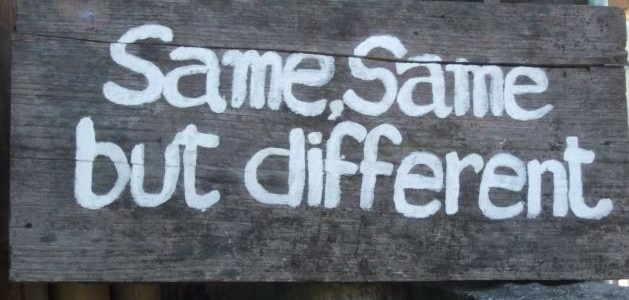 Same Same But Different